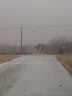 oklahoma blizzard www.mary__humphrey.com