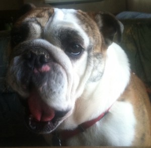 writing environment www.mary-humphrey.com