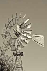 The Wind Music www.hispasturepress.com