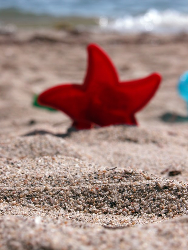 sandbox www.hispasturepress.com @serban enache, dreamstime