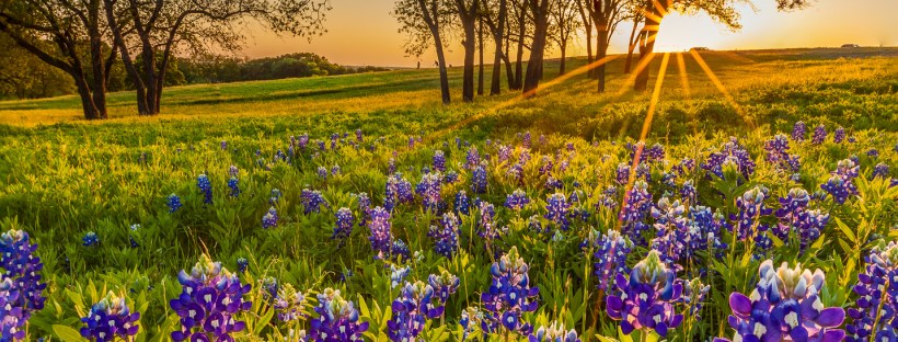 God's voice through colors, God's colors